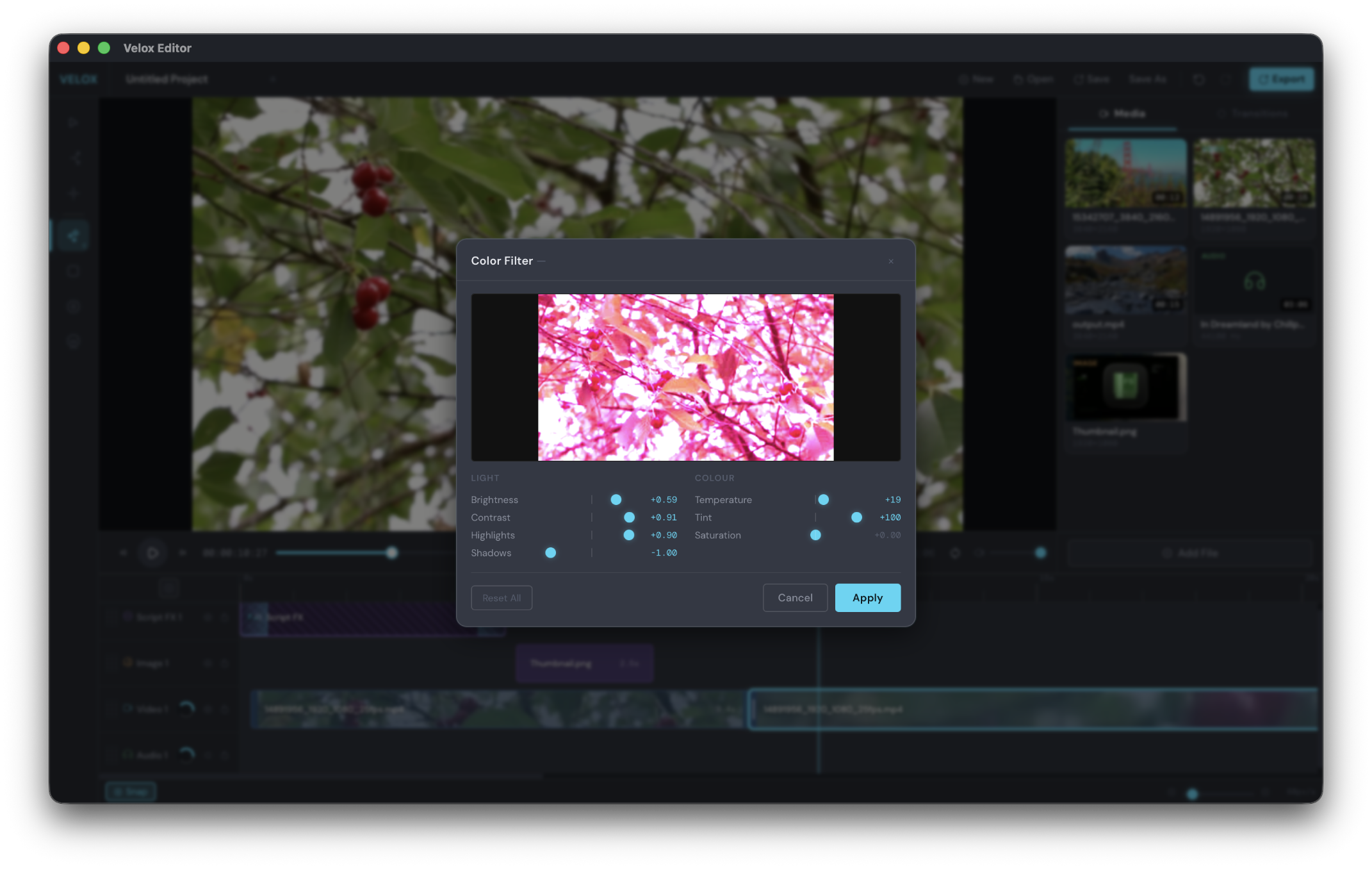 Color filter panel with light and colour controls